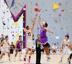 凯尔特人杰伦·布朗因辱骂裁判被罚款35万美元，终于如愿以偿